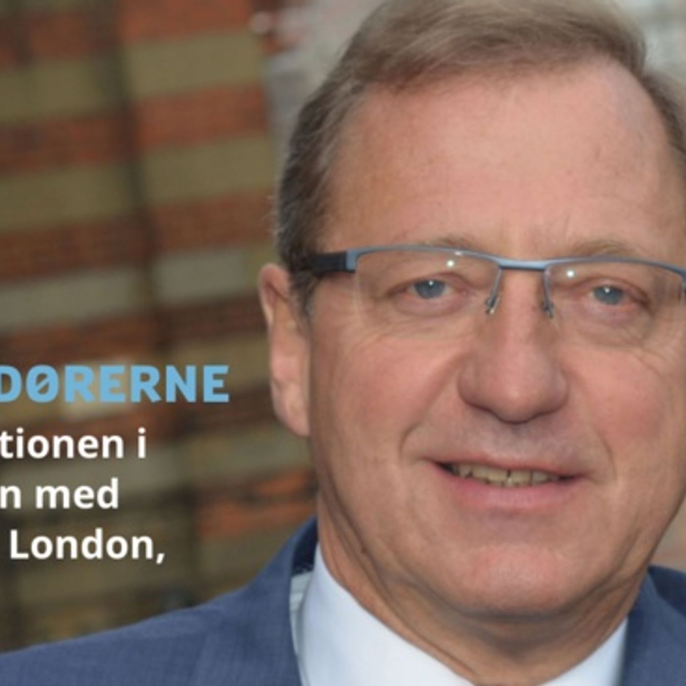 Ambassadørerne