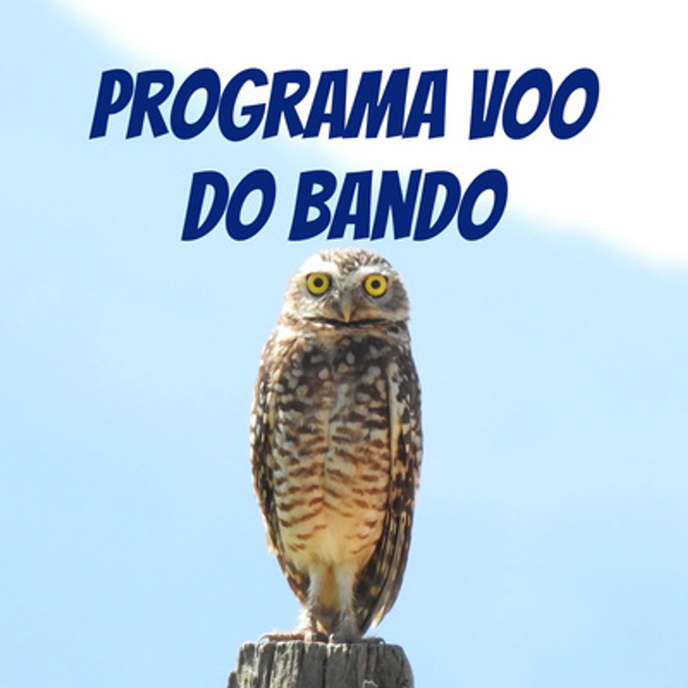 Dion'ei Mariño - Programa Voo do Bando