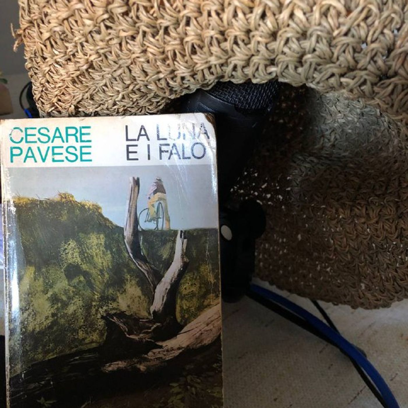 Paolo Pileggi Scrittore