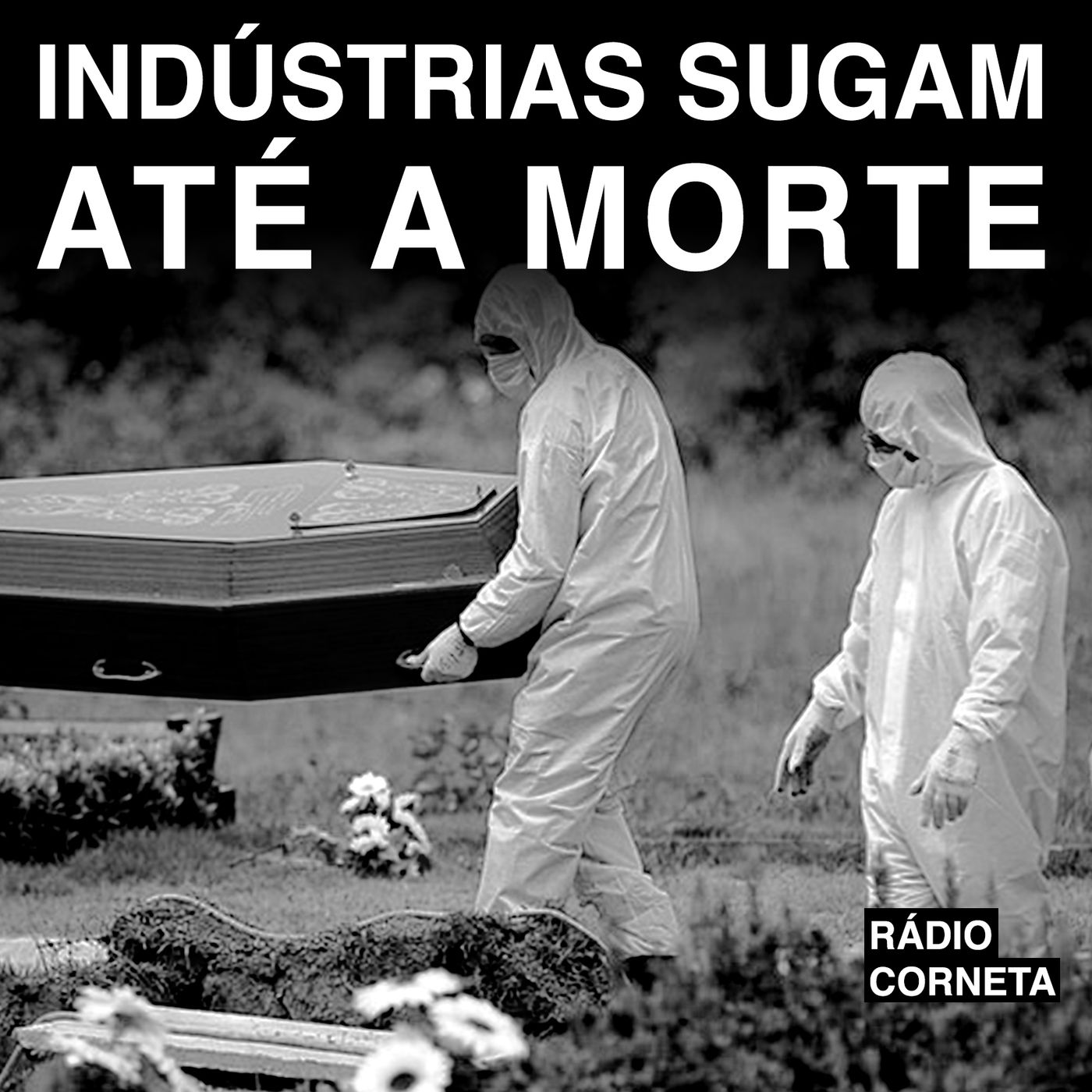 Rádio Corneta