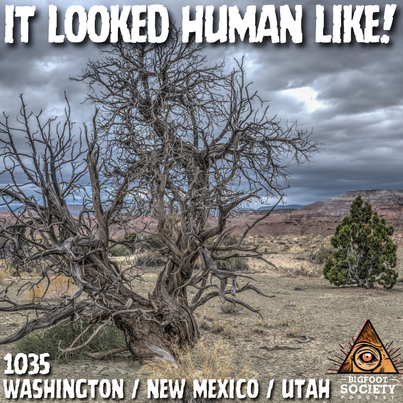 Three Bigfoot Cross a Road in Washington — Then It Gets Darker