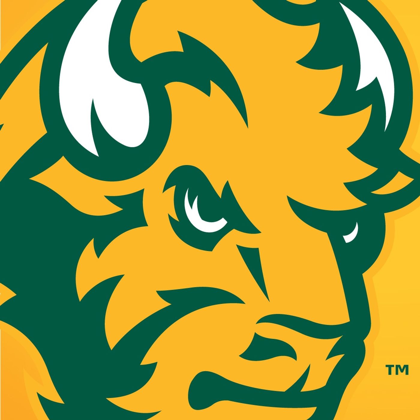 Bison Football Radio Show with Coach Matt Entz - October 17th, 2022 (Full Show) episode artwork