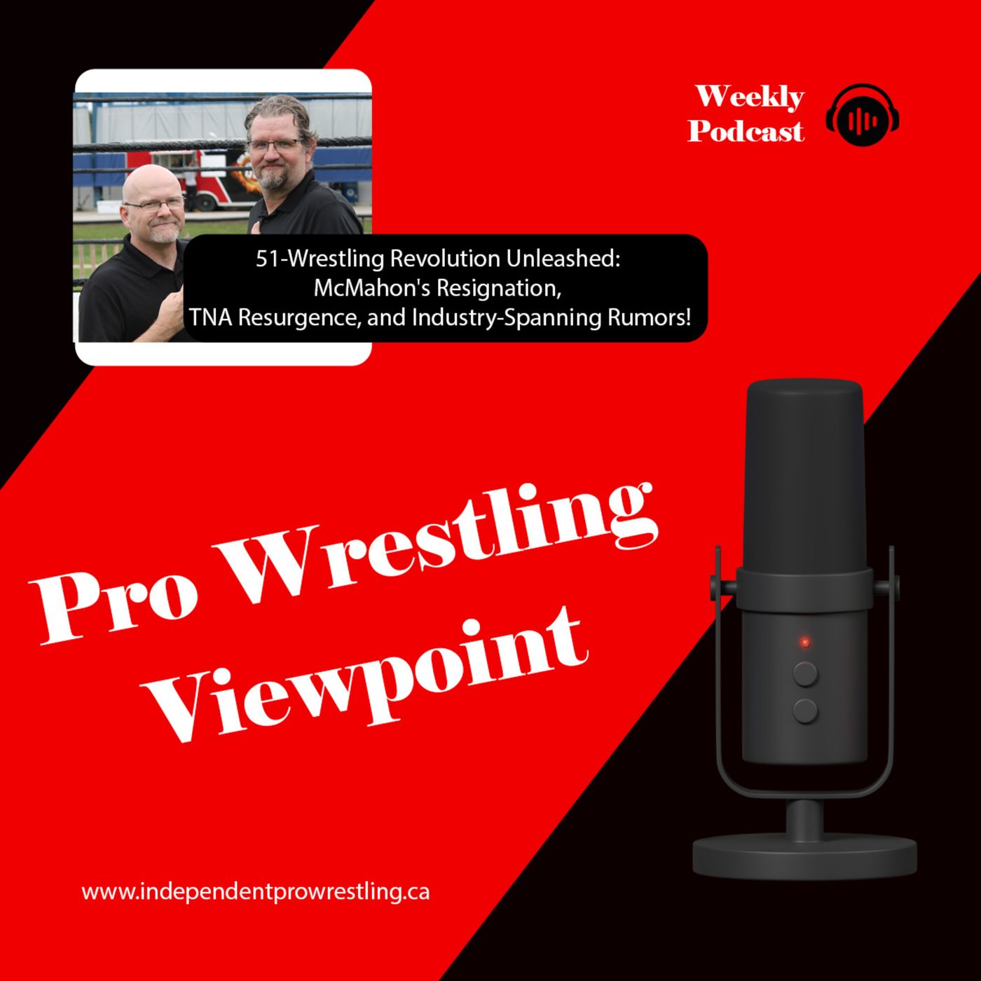 Pro Wrestling Viewpoint
