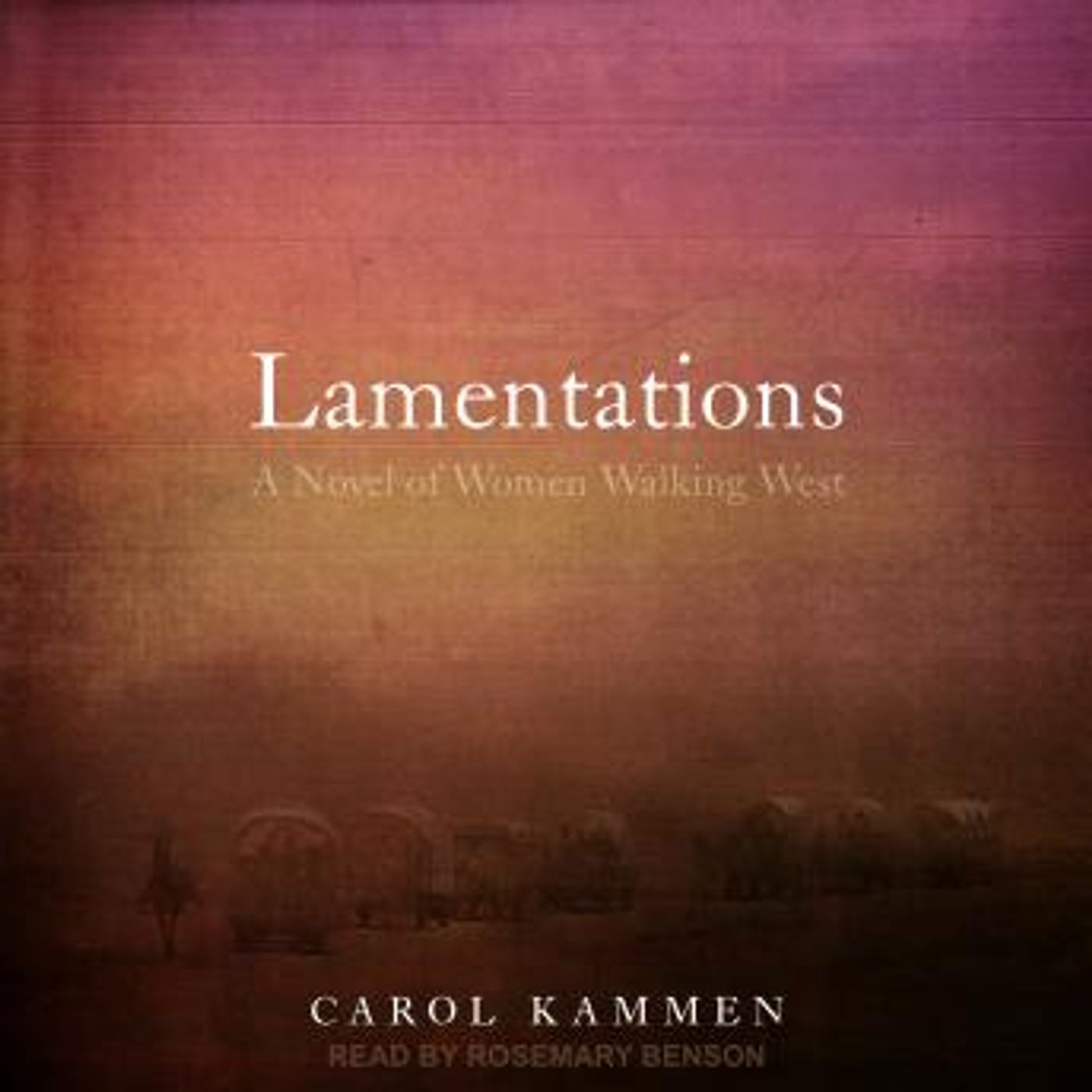 Stream Popular Full Audiobooks in Fiction, Westerns & War