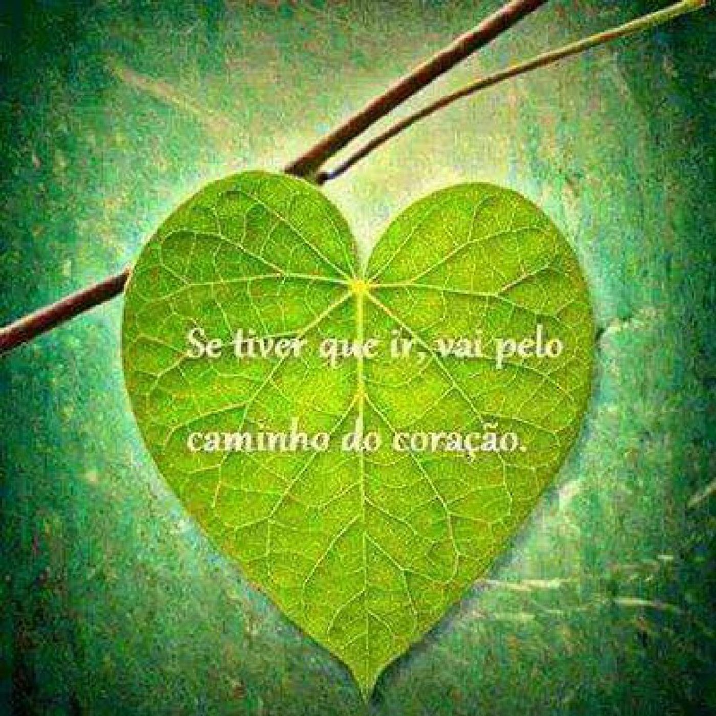 Dois Minutos de Paz #T1Ep1