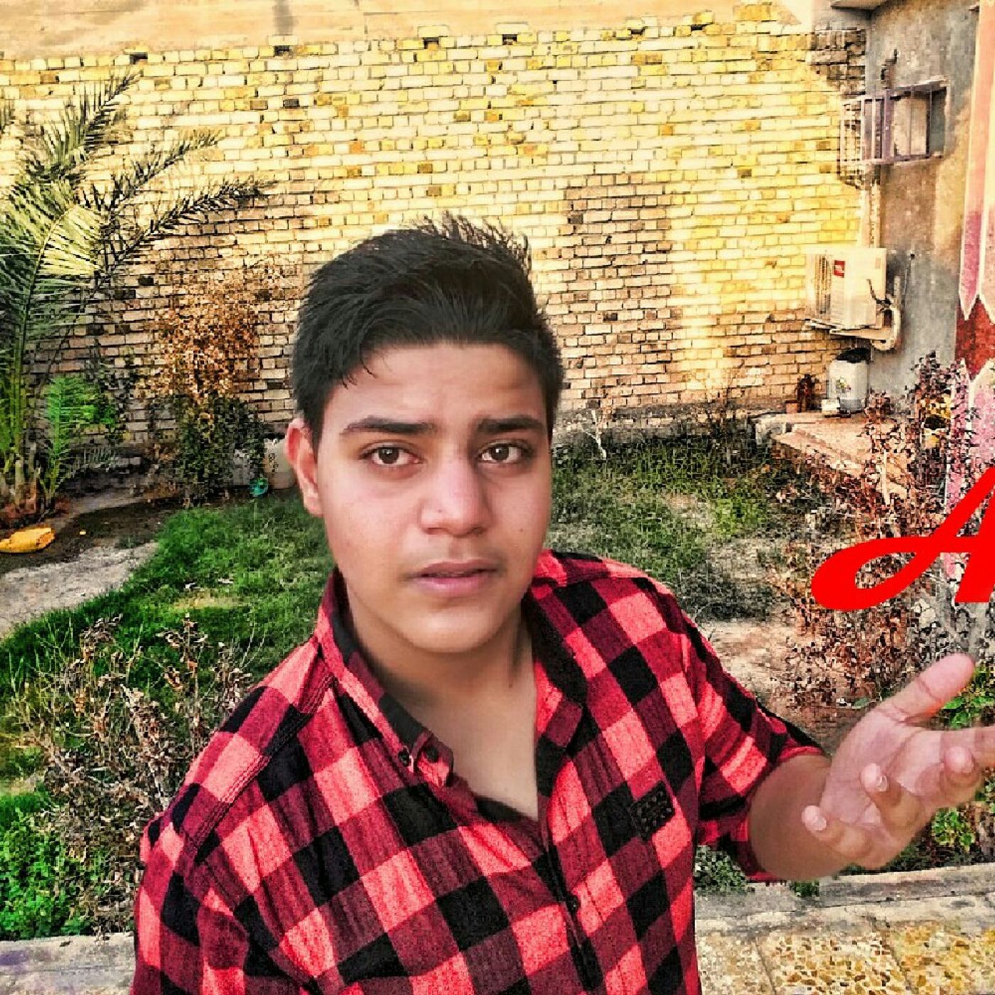 Alaoi Alshhmani