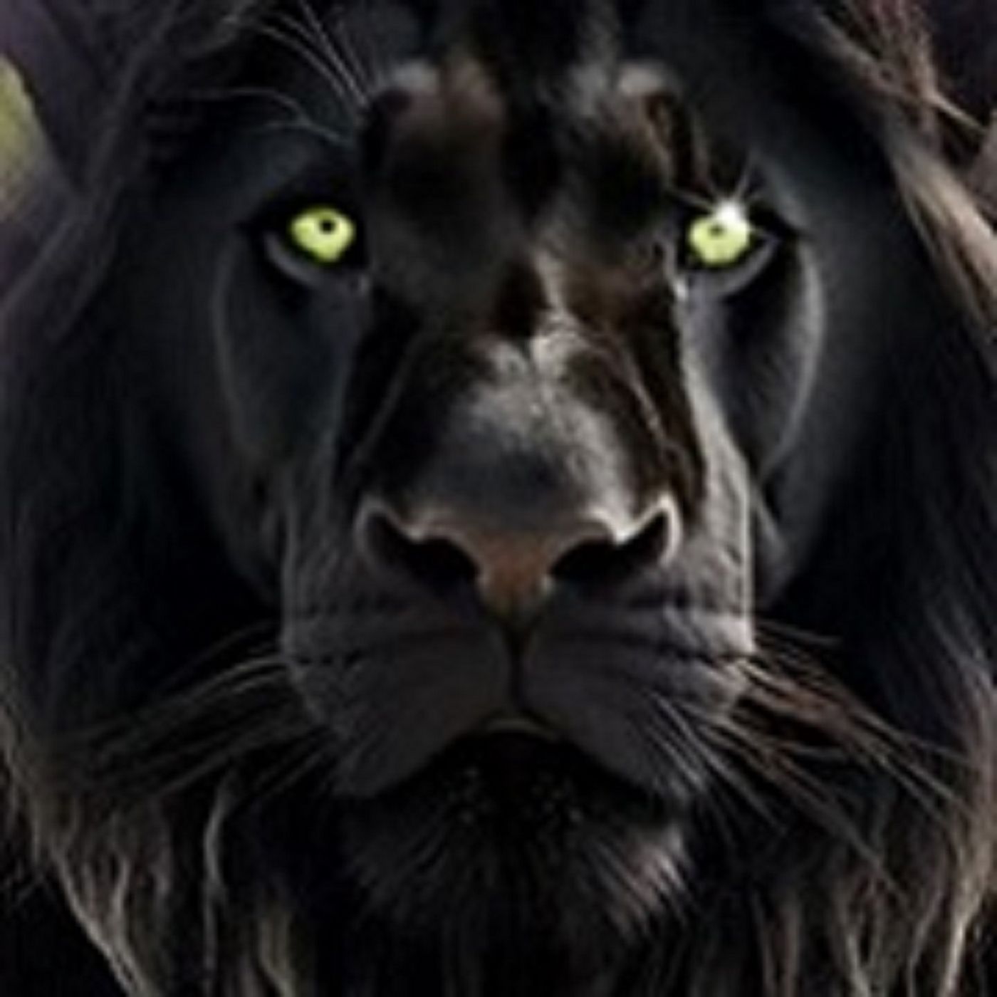 Onyx Lion Radio Show