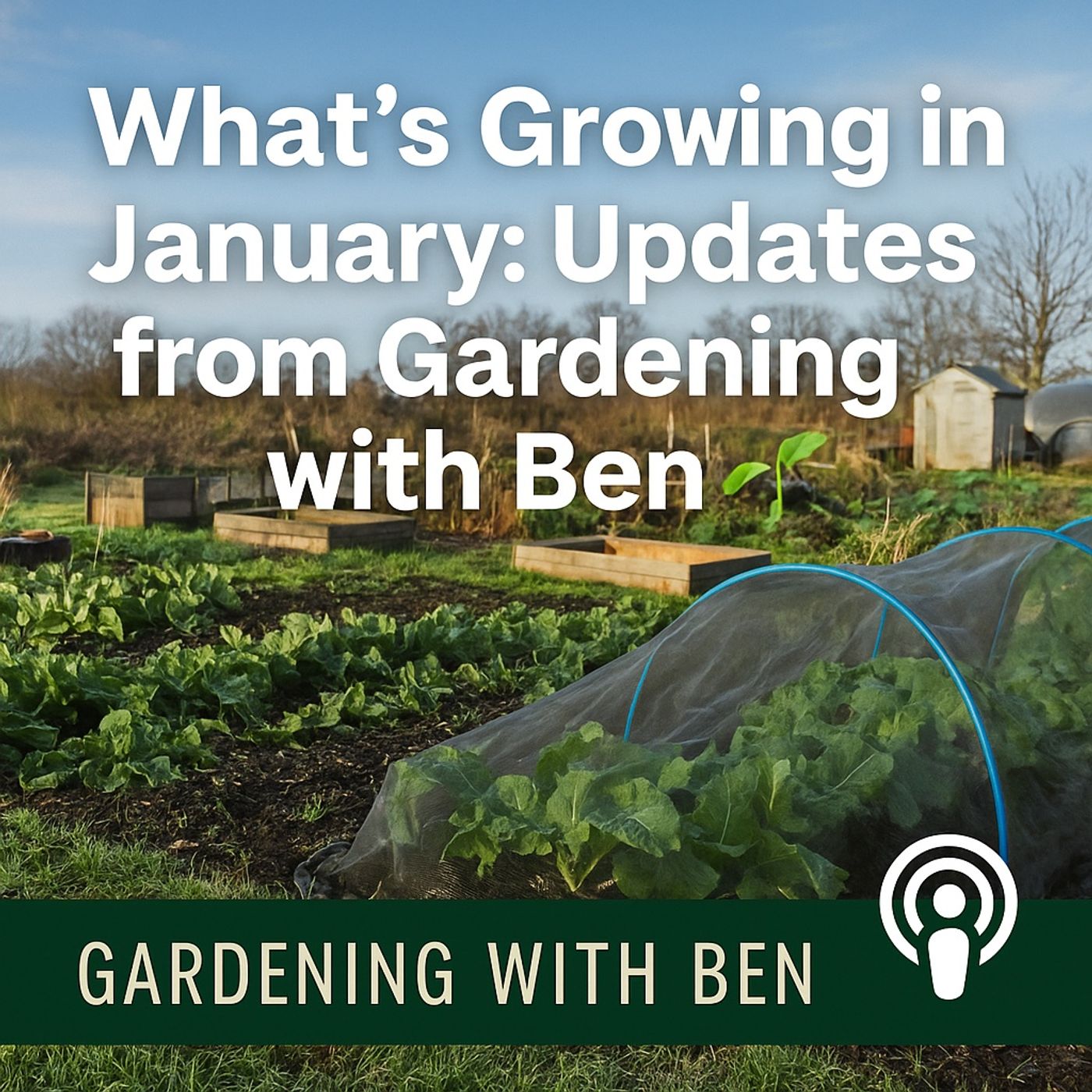 🎧 🌱 What’s Growing in January | Updates from Gardening with Ben episode artwork