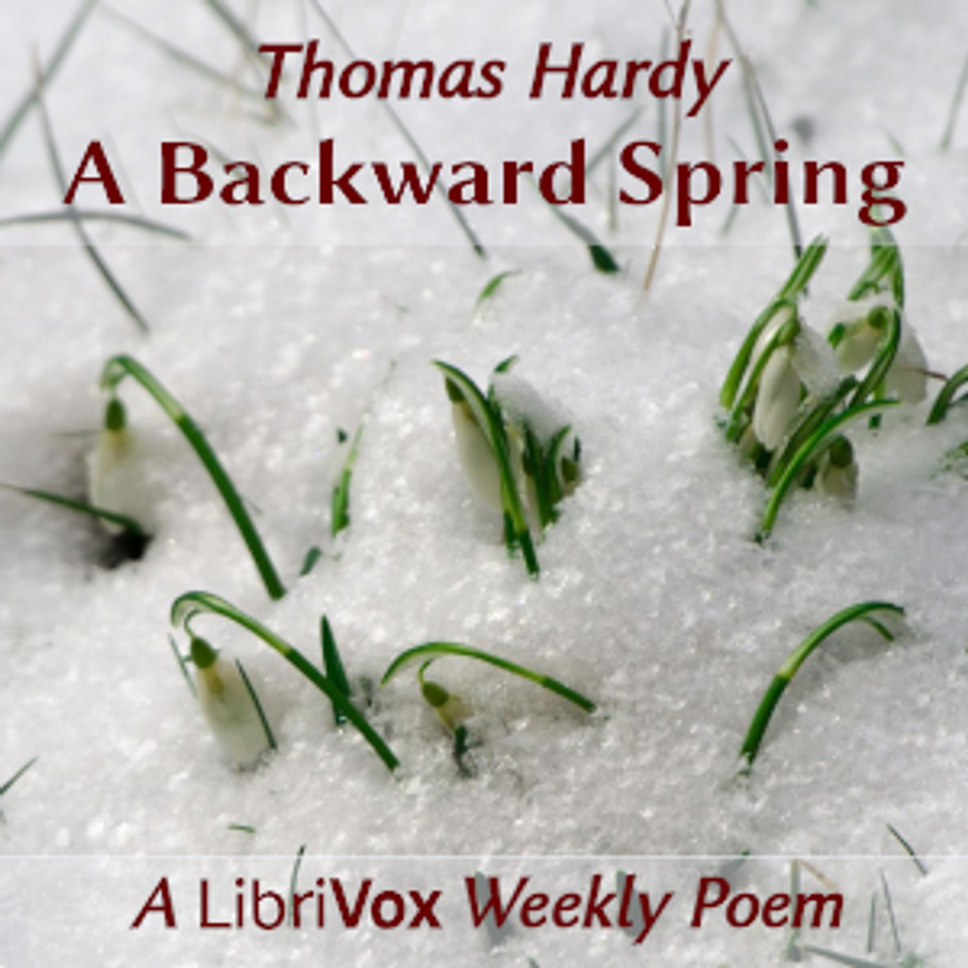 Thomas Hardy - A Backward Spring cover art