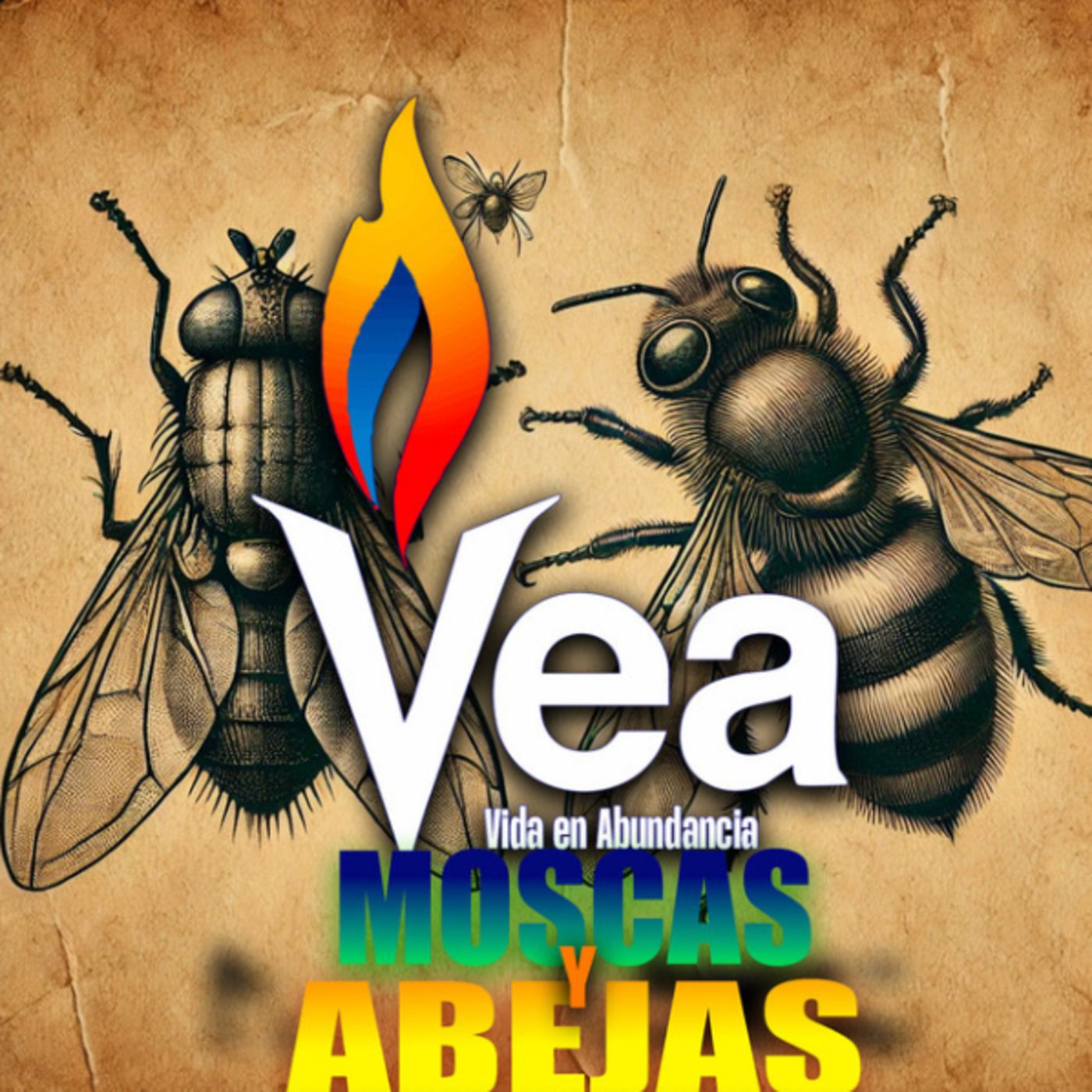 VEA Comunidad Cristiana