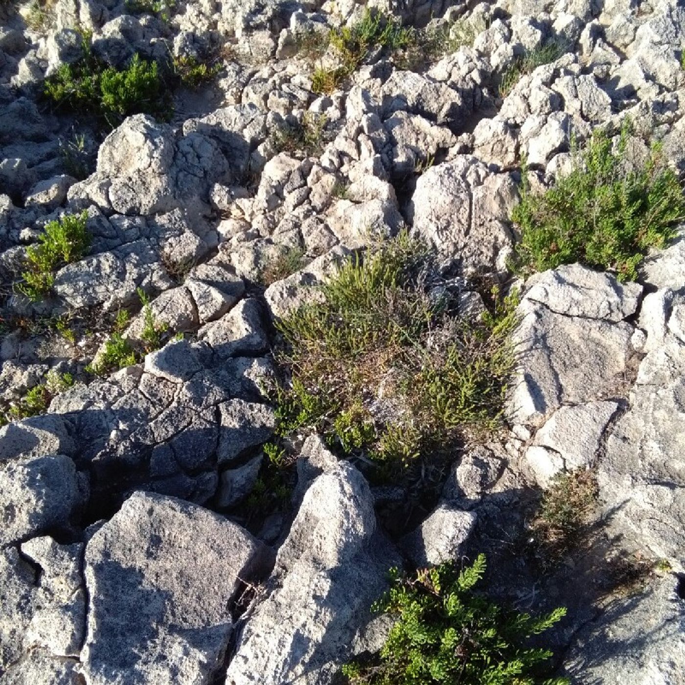 Radio Blues con Ale Floridia