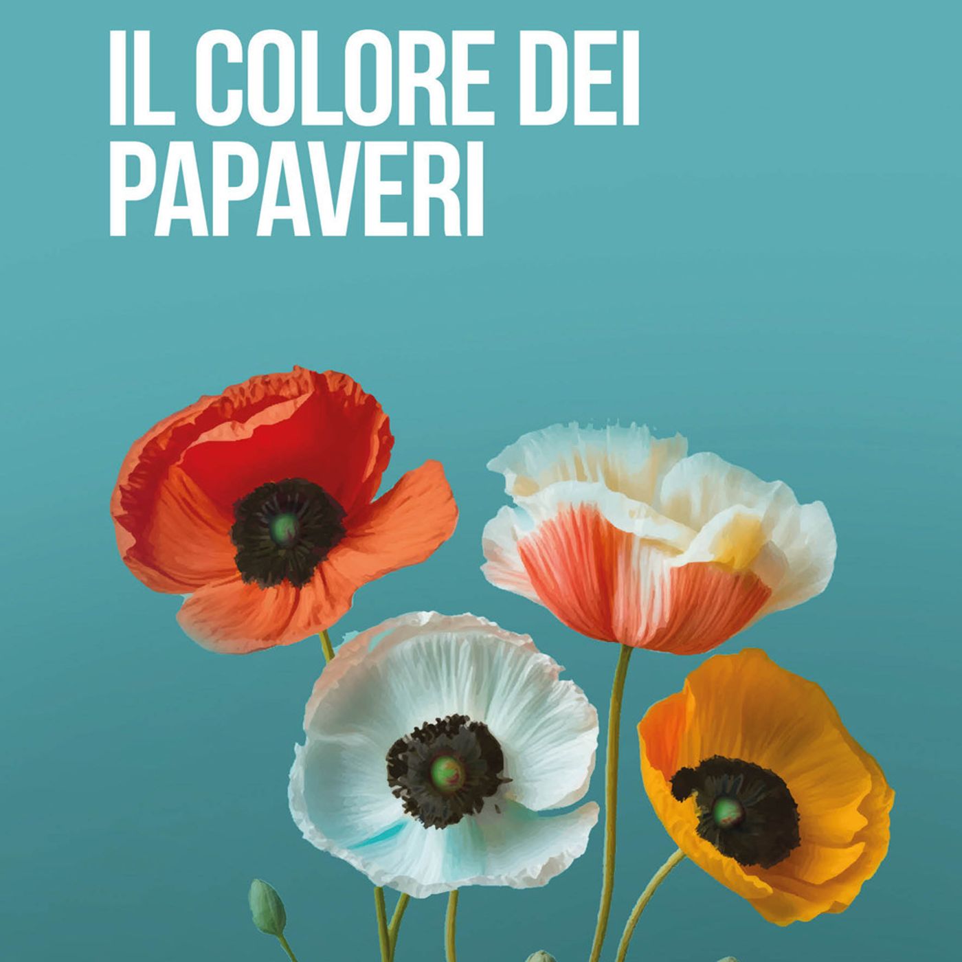 Valentina Galli "Il colore dei papaveri"