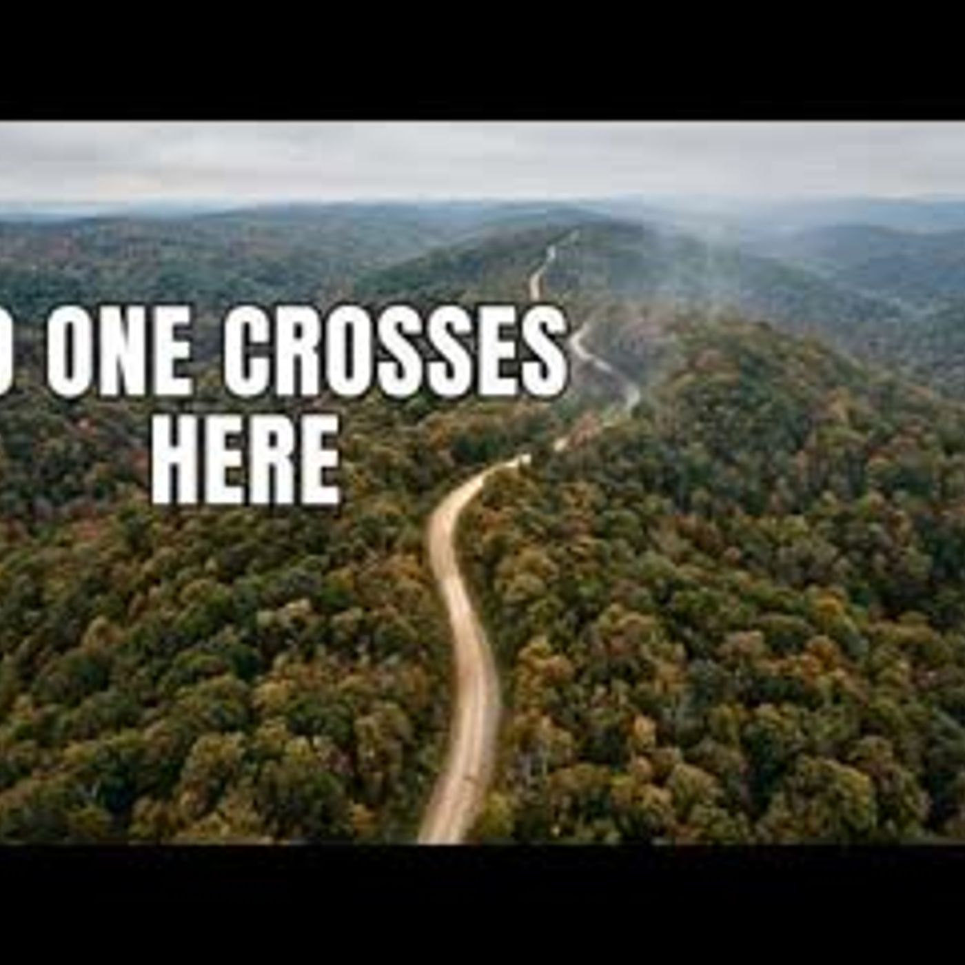 Something Moves Through These Appalachian Hollows… And Locals Know It episode artwork