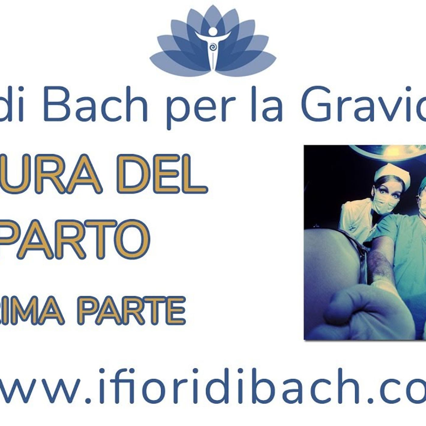 Fiori di Bach in pillole