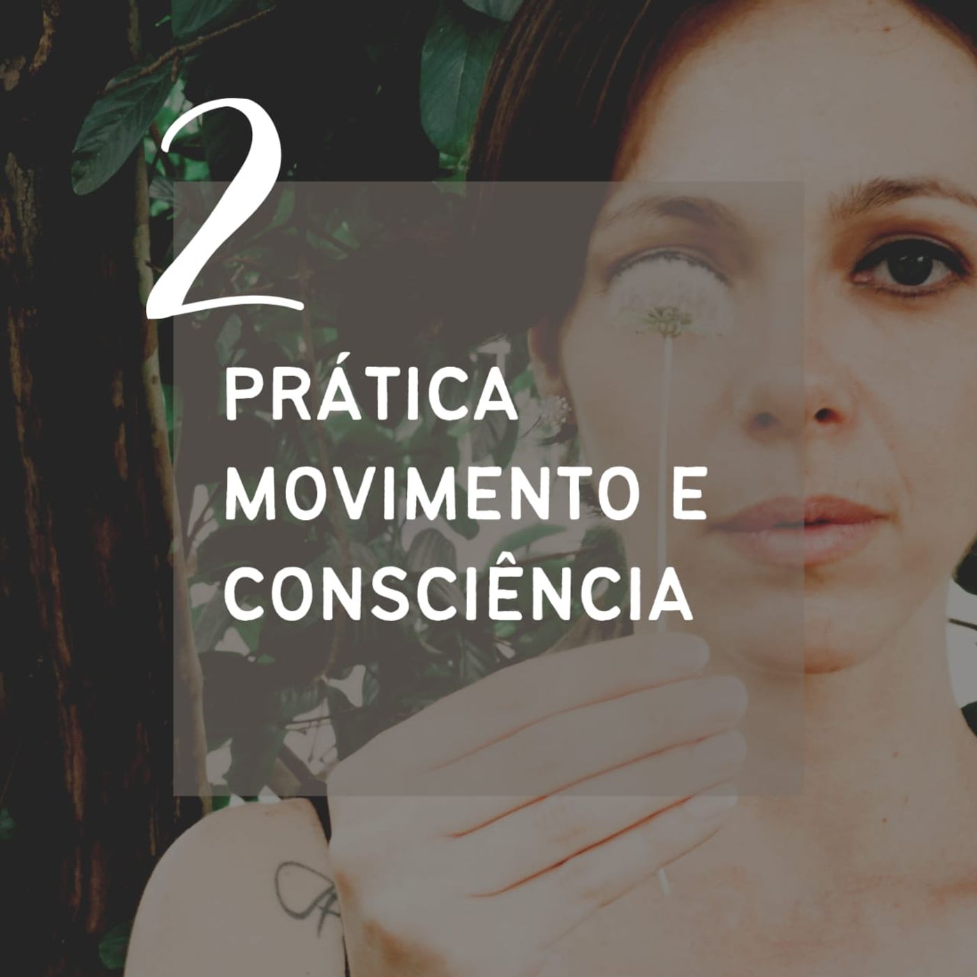 Prática Movimento e Consciência