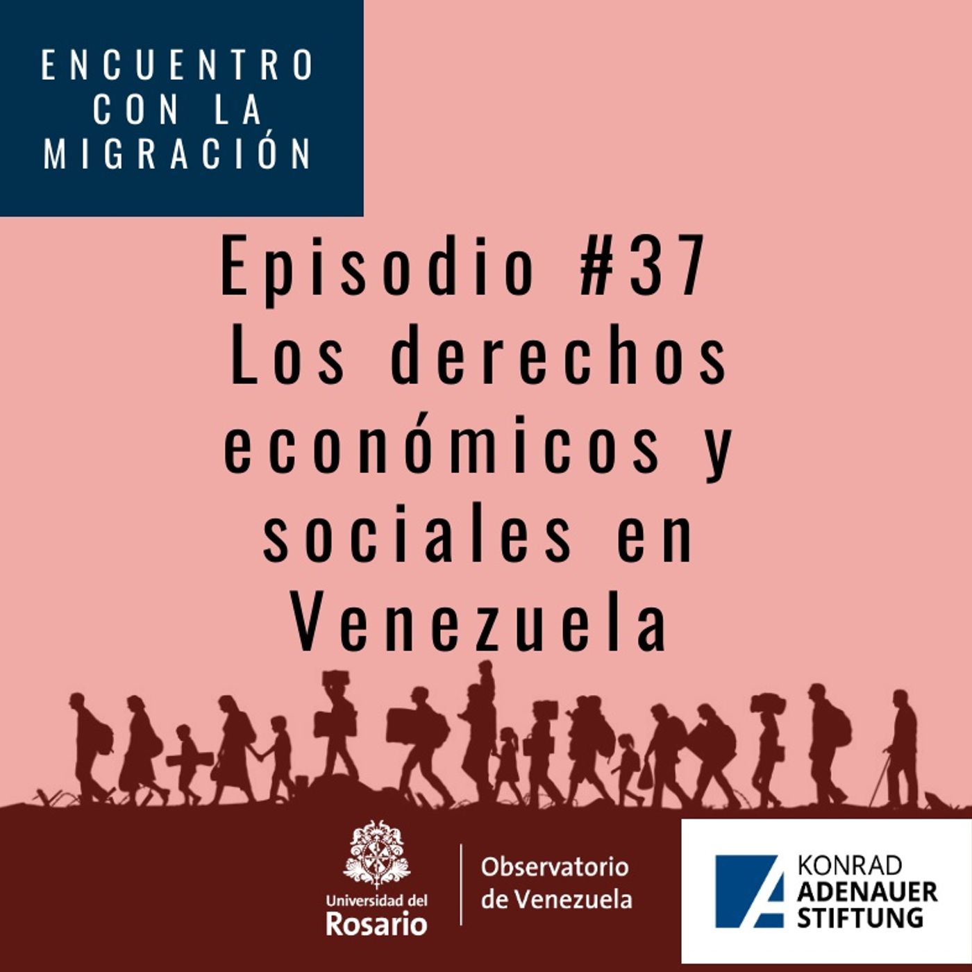 Los derechos económicos y sociales en Venezuela