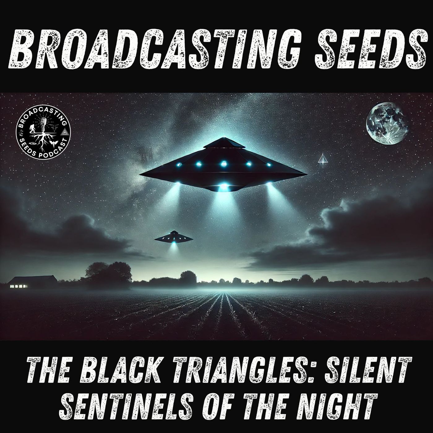 The Black Triangles: Silent Sentinels of the Night