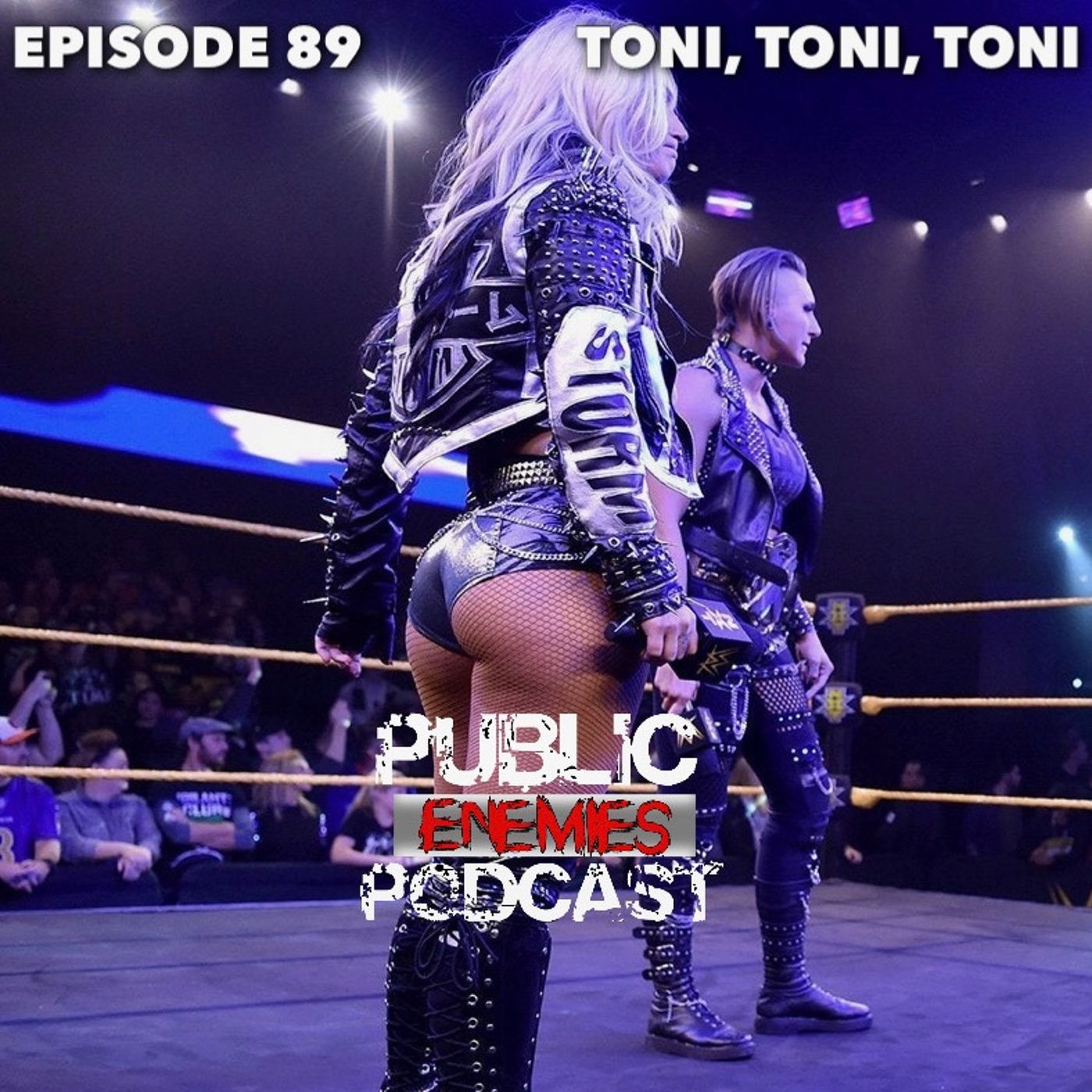 Public Enemies Podcast