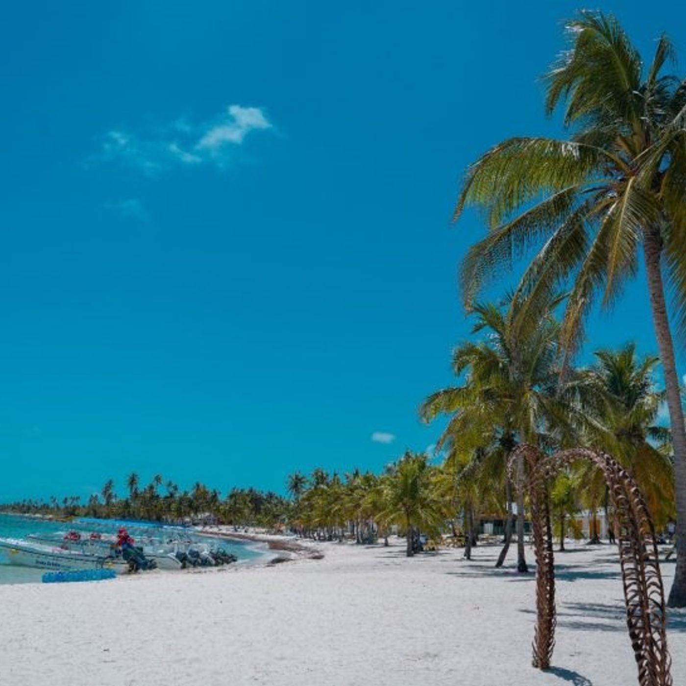 La Isla Saona Sin Plástico | FEDERICO FRANCO
