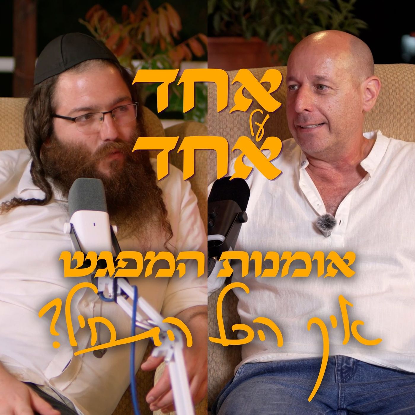 אומנות המפגש | אחד על אחד | אלעזר ריגר ורונן ברונשטיין episode artwork
