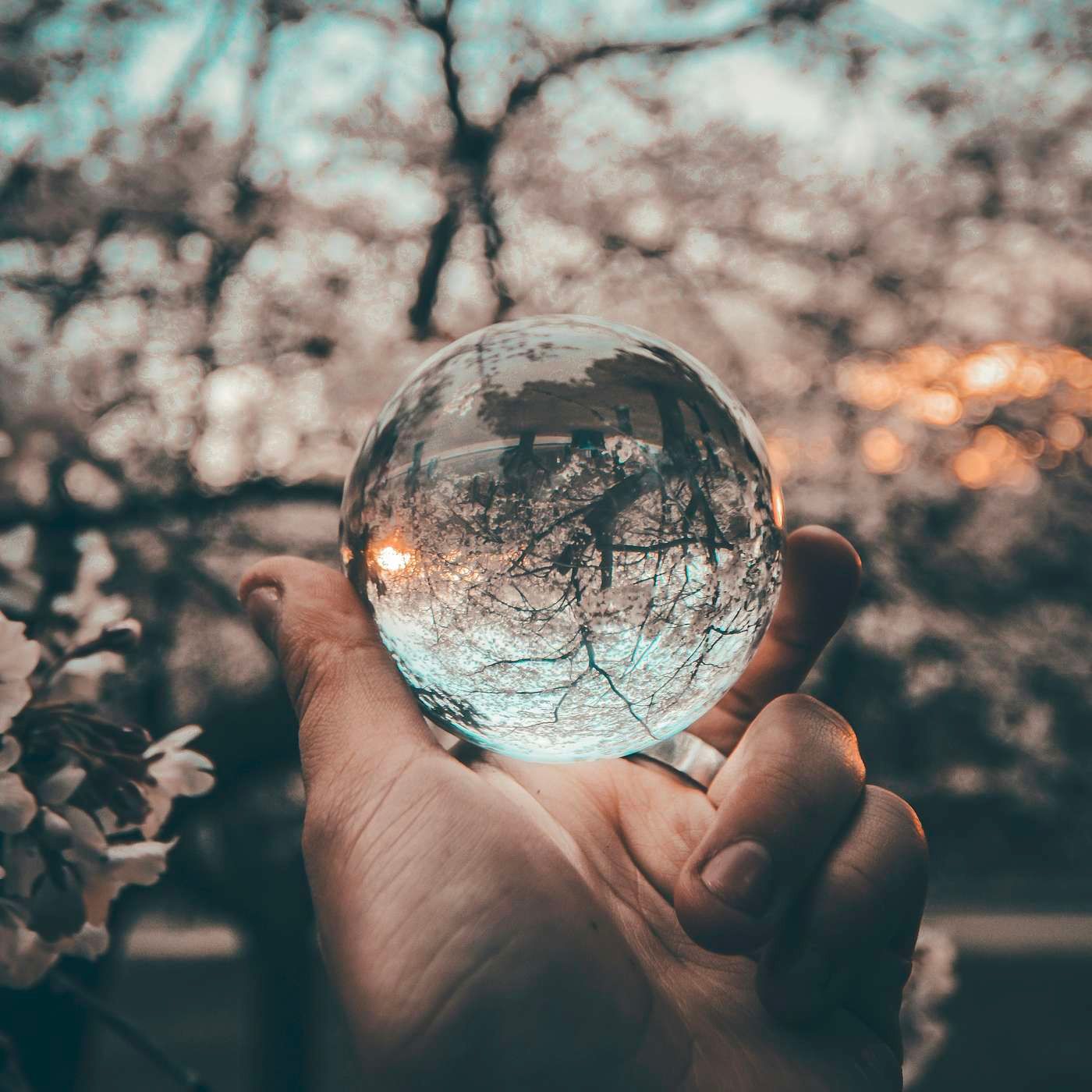 A Psychic Journey (Campfire)