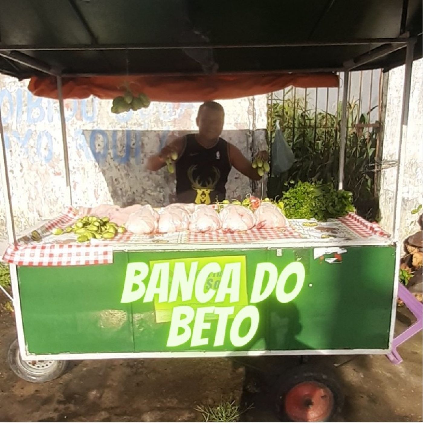 RADIO WEB. PROGRAMA BREGADÃO