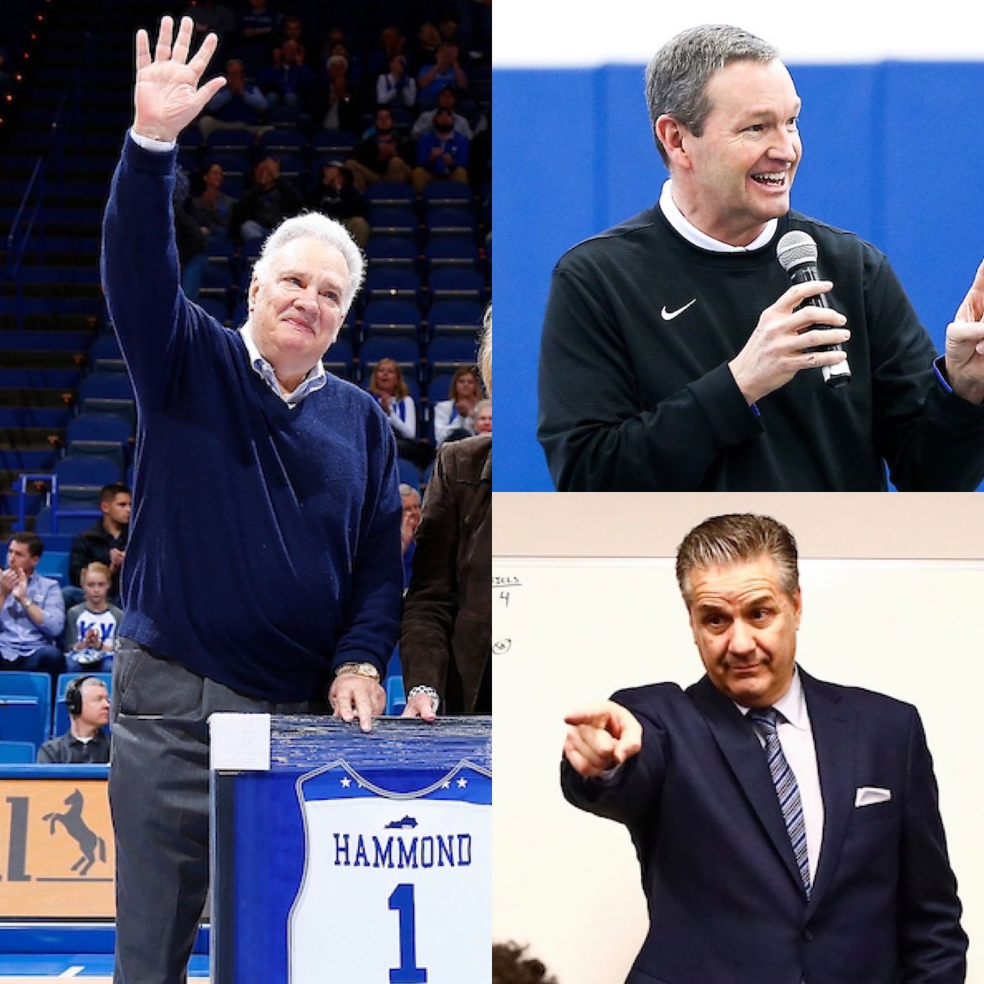 Best of A Day at the Races with the UK Sports Network presented by Toyota