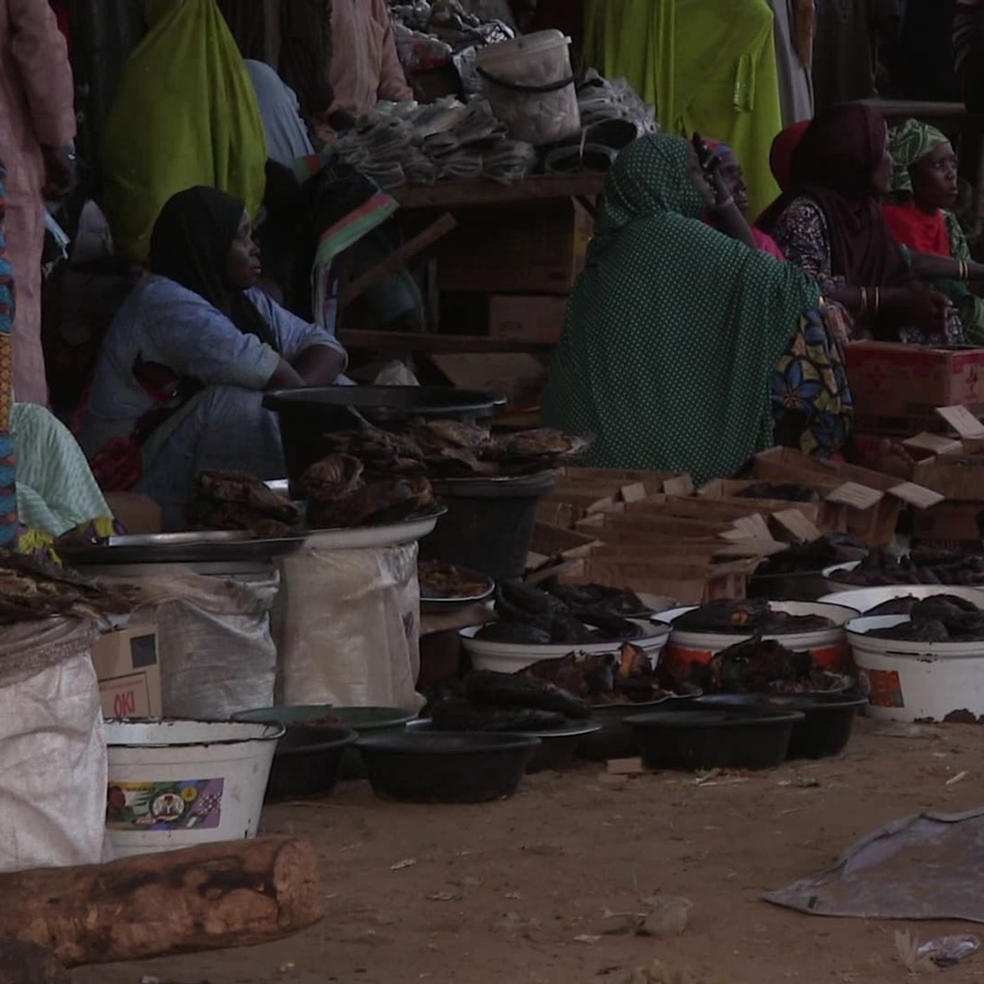 Inclusion, santé et commerce du poisson (Le Niger sur Kalangou) episode artwork