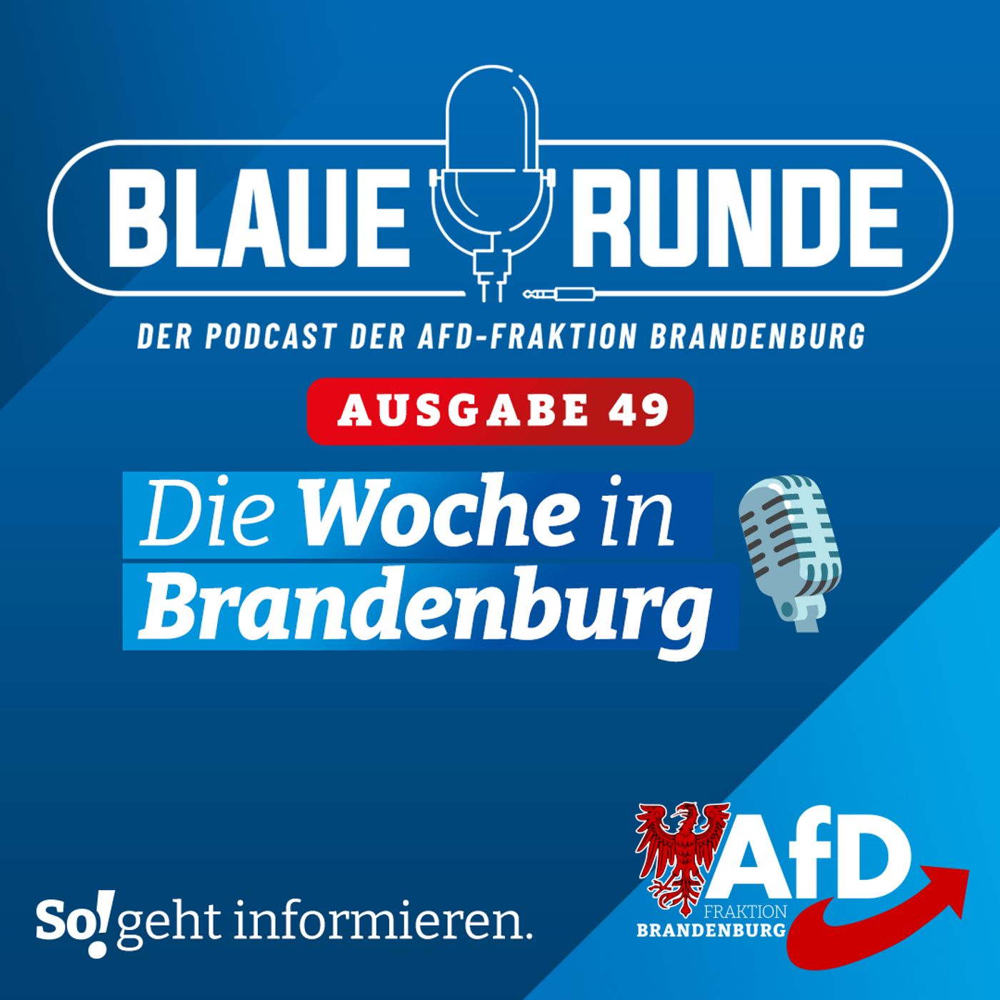 Die Woche in Brandenburg | Die Blaue Runde, Ausgabe 49/23 vom 20. Mai 2023 episode artwork