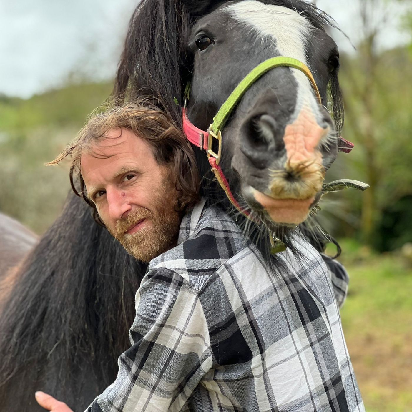 Urban Forestry Horsemanship