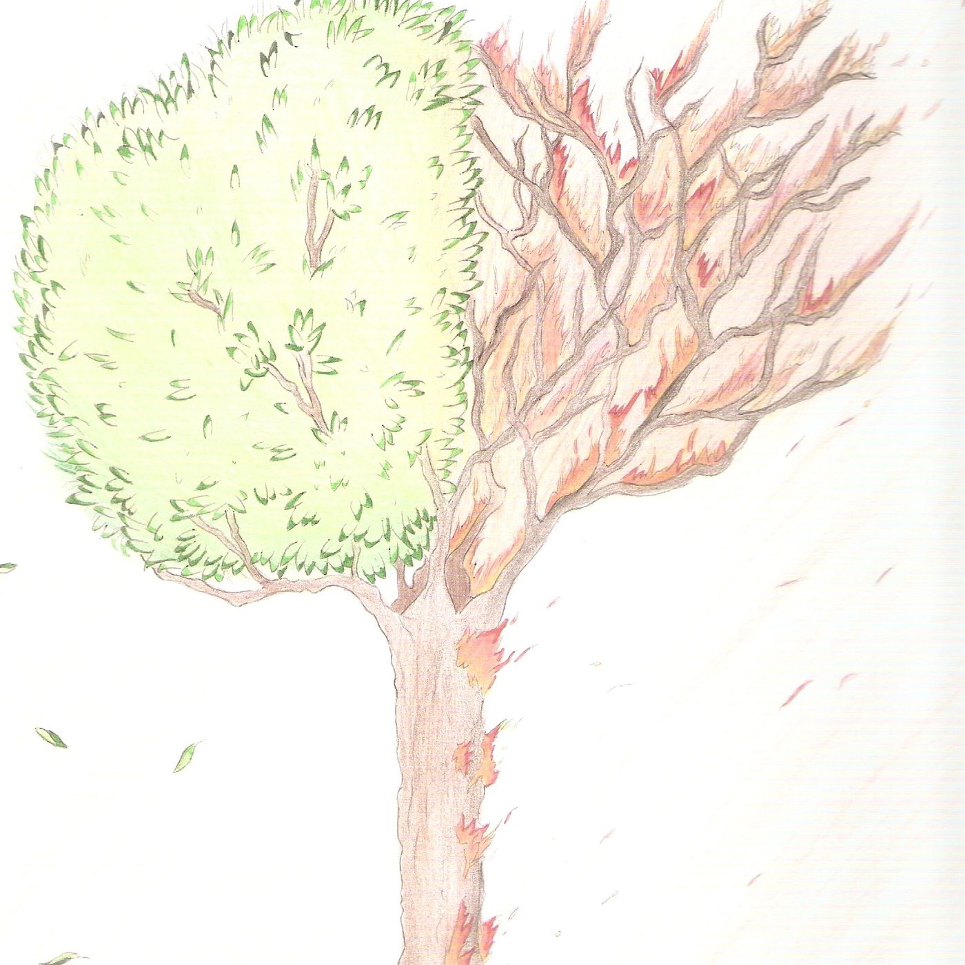 Tracce di PianetaInVendita