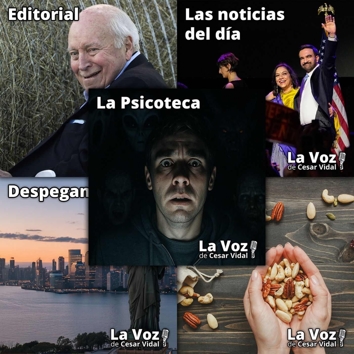 Programa Completo de La Voz de César Vidal - 05/11/25 episode artwork