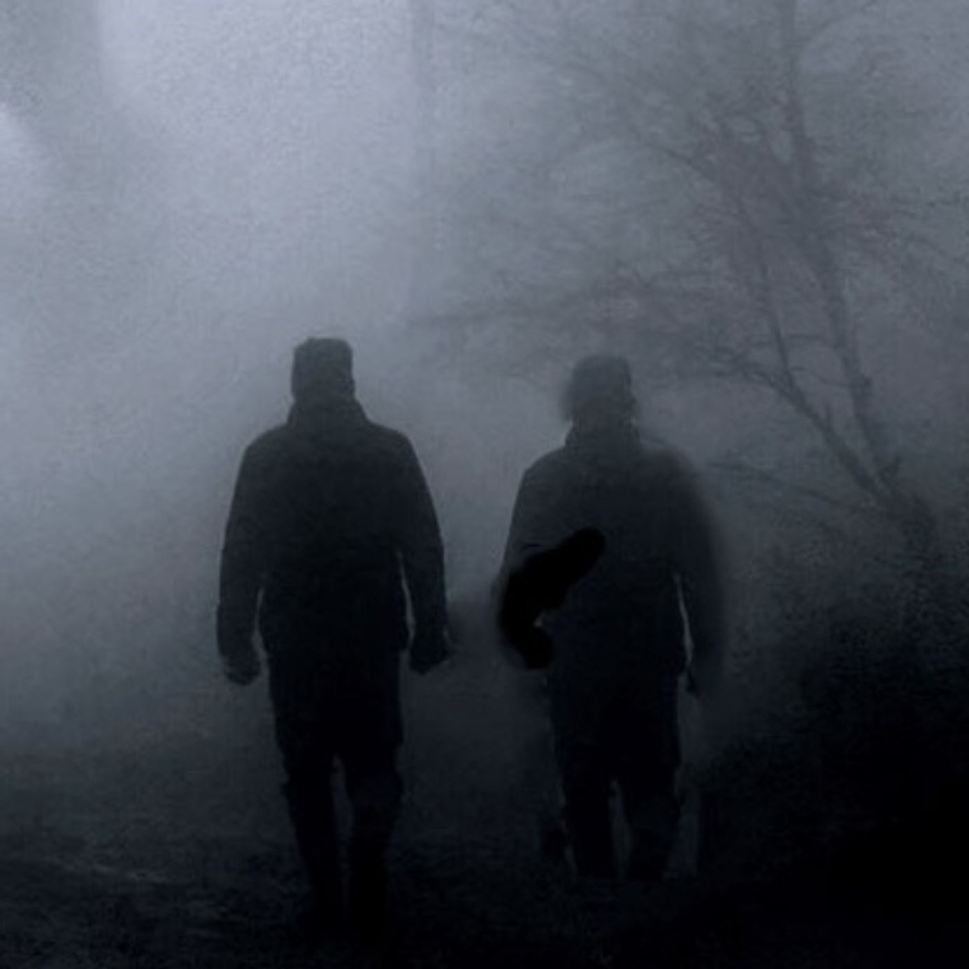 Los Hongos De La Muerte Historias De Terror - REDE