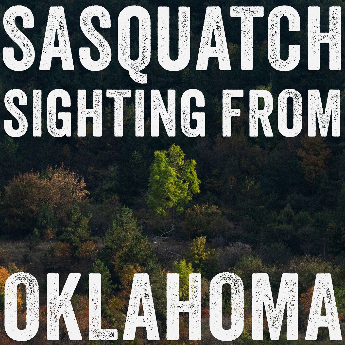 BIGFOOT ENCOUNTER ON A PROPERTY IN OKLAHOMA | THE STRANGE EVENTS THAT FOLLOWED...