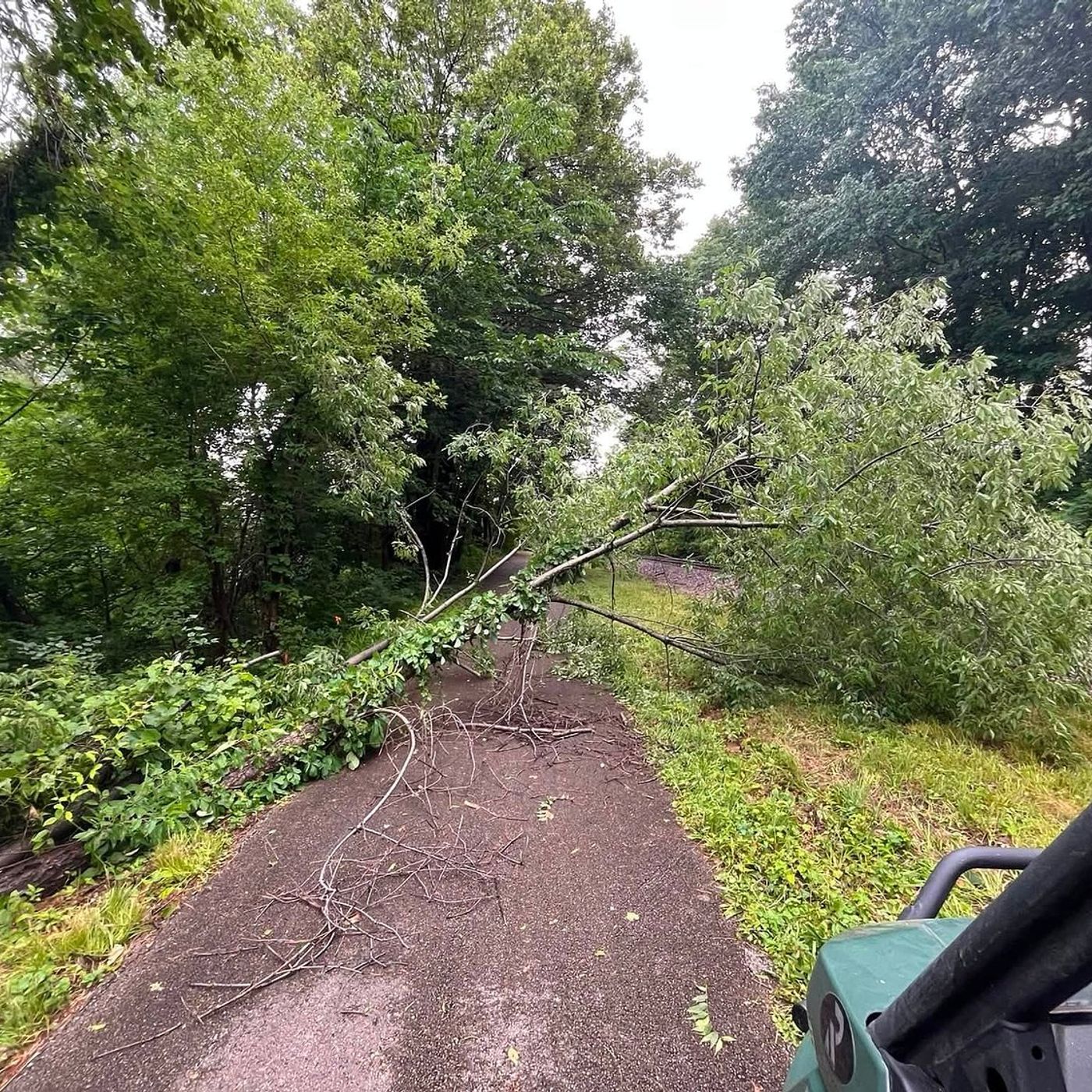 SBA centers open in to help those affected by July storms episode artwork