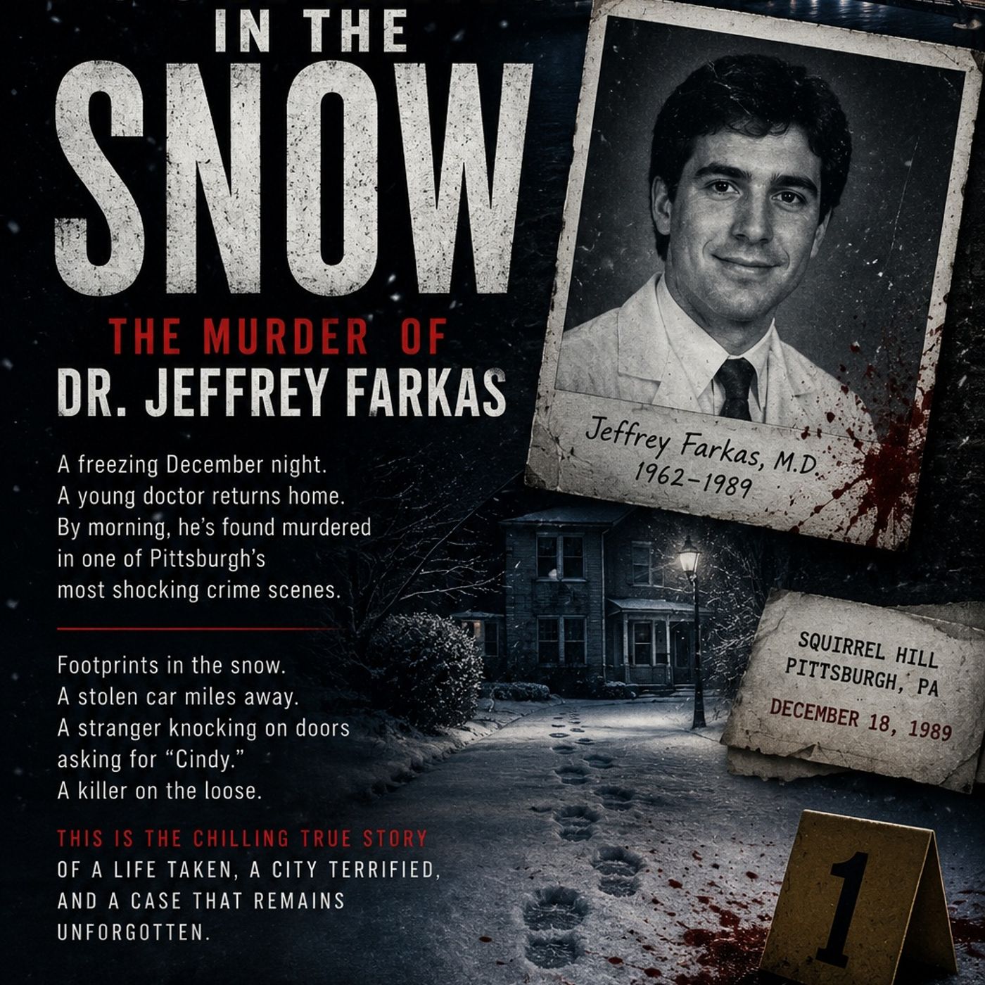 Footprints in the Snow: The Murder of Dr. Jeffrey Farkas episode artwork
