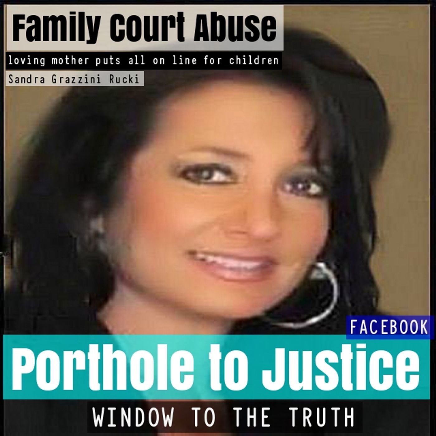 Family Court Corruption Dakota County Minnesota episode artwork