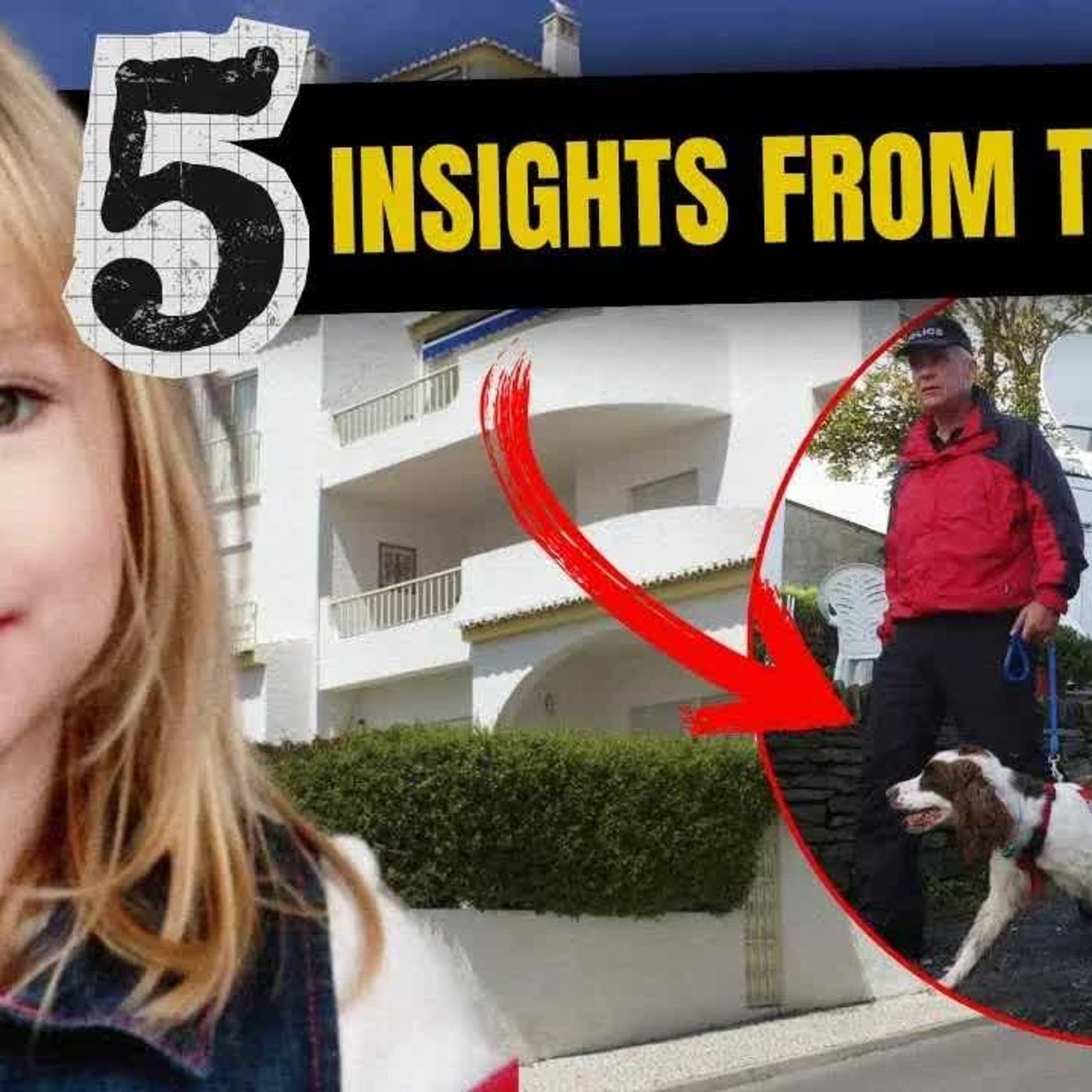 MADELEINE MCCANN Two Dogs, One Blood, One Cadaver, Both Alerting in the Same Areas of 5A, Vehicle episode artwork