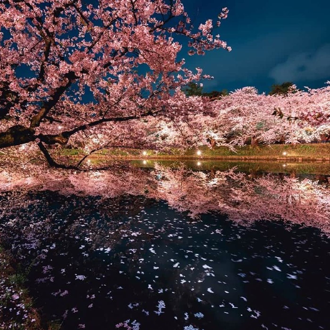 Think Stop - Il Piacere Di Pensare