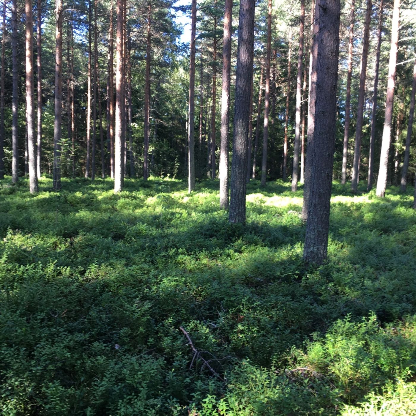 Podcast Finland
