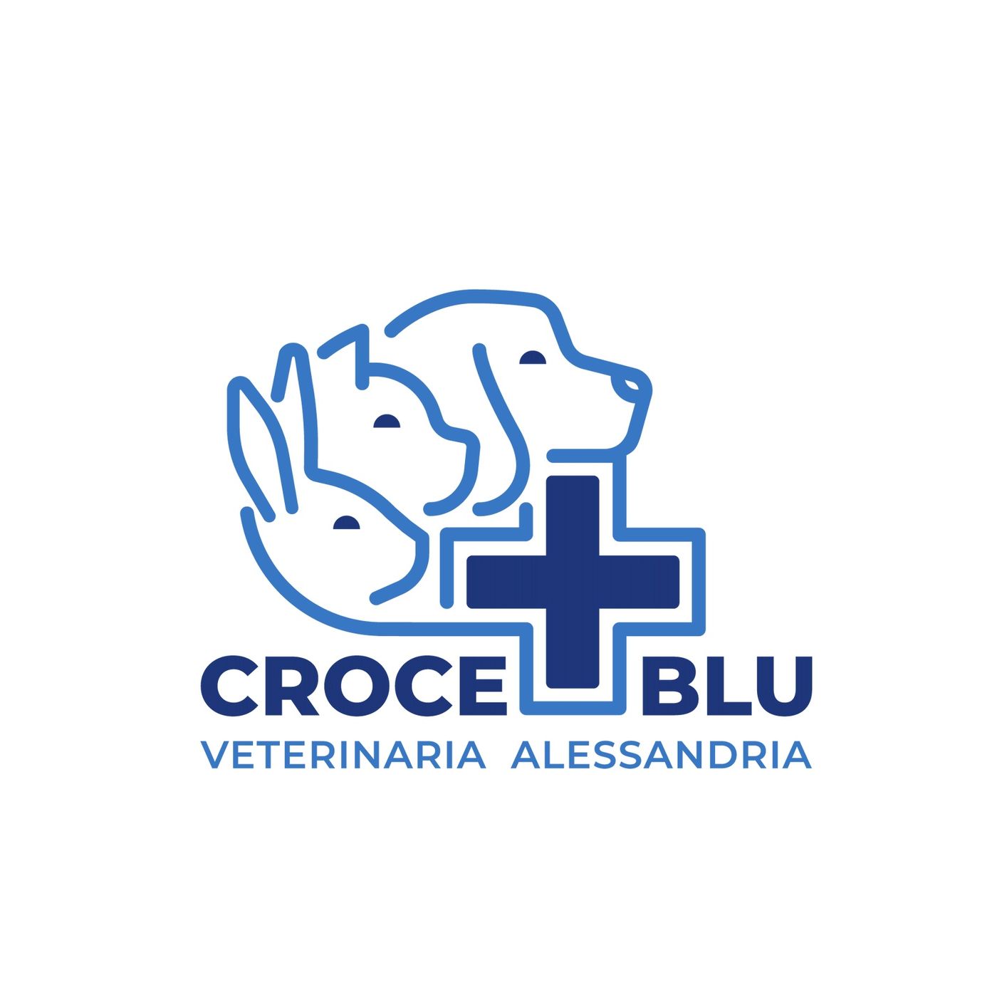 Animali e medicina integrata episode artwork