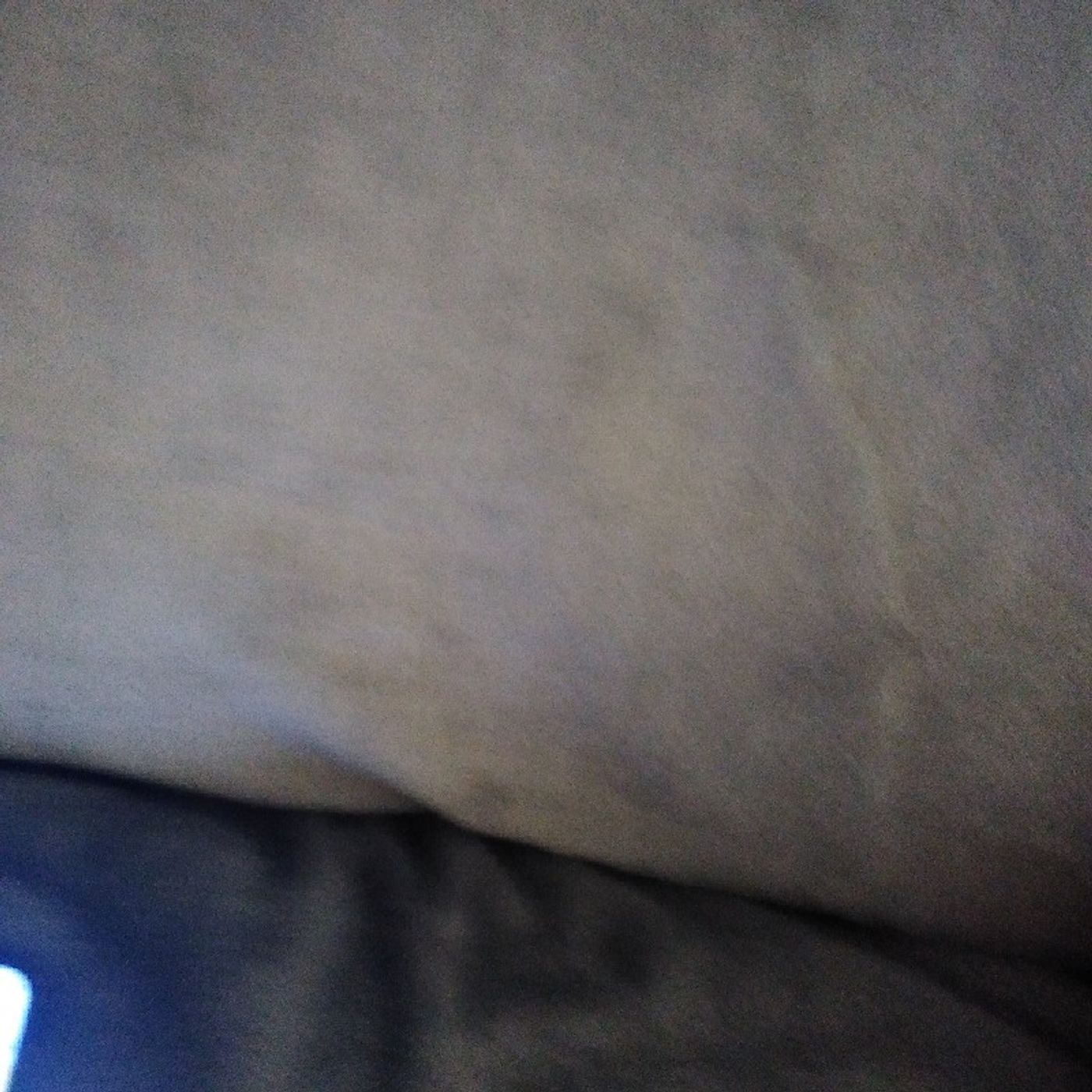 Amy Noecker\'s podcast