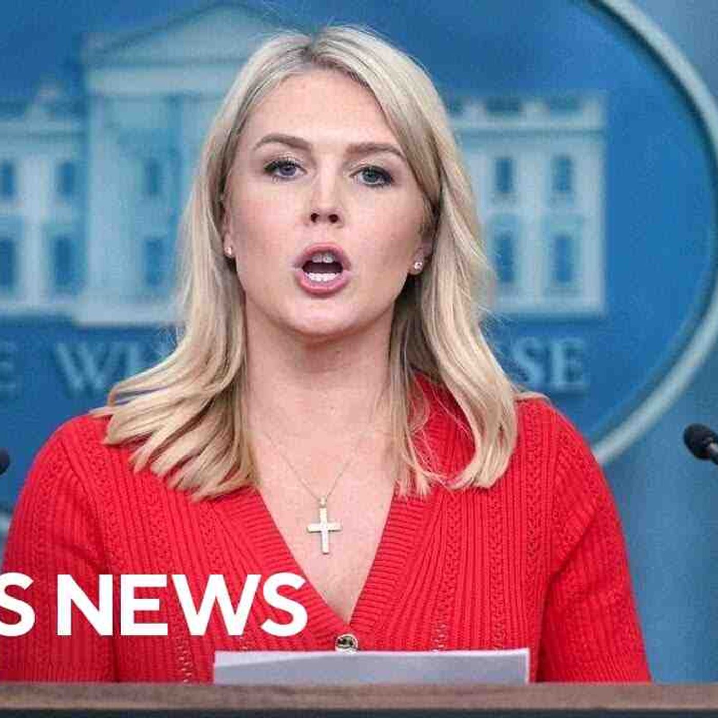White House press secretary reacts to tariff ruling against Trump(MP3_160K) episode artwork