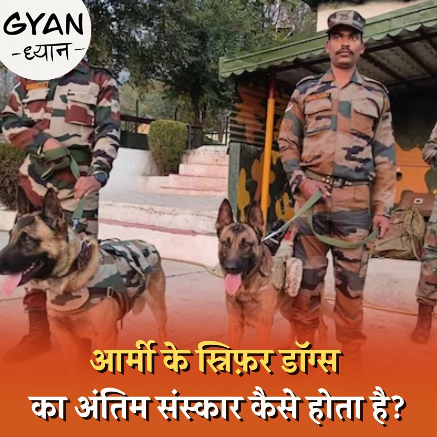 आर्मी की मदद करने वाले ट्रेंड स्निफर डॉग्स का रिटायरमेंट के बाद क्या होता है?: ज्ञान ध्यान, Ep 822