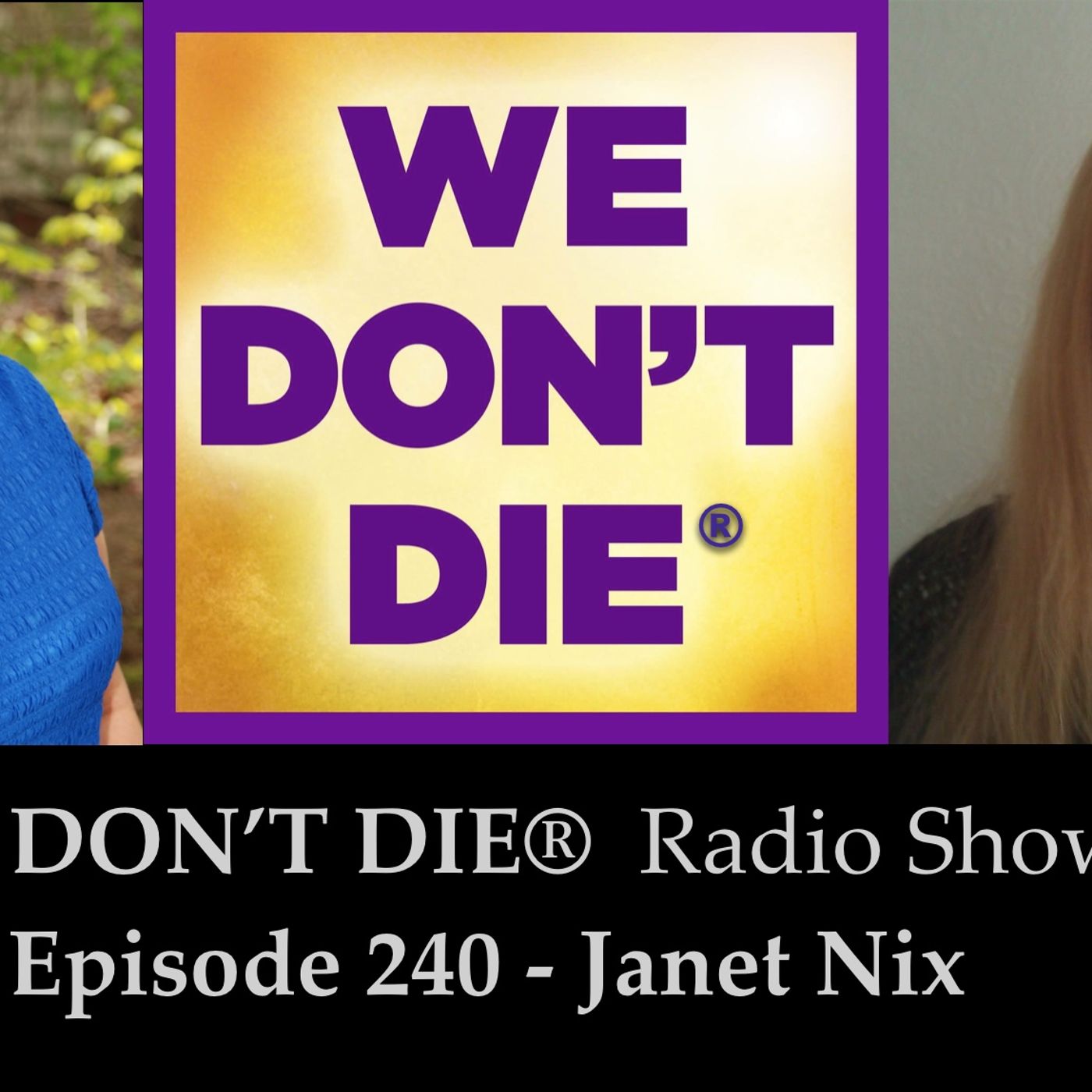240  Janet Nix - Unfoldment, Banyan Retreat and Our Never Ending Adventure