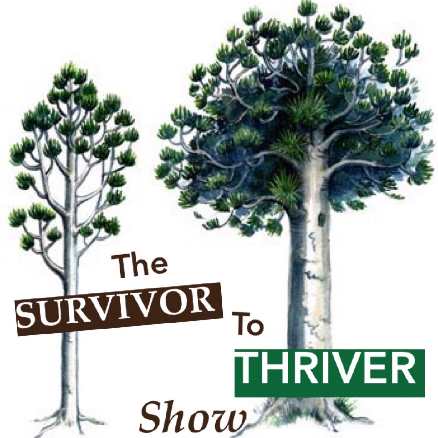 Survivor to Thriver Show: Transform Your Fear Into Freedom with Samia Bano