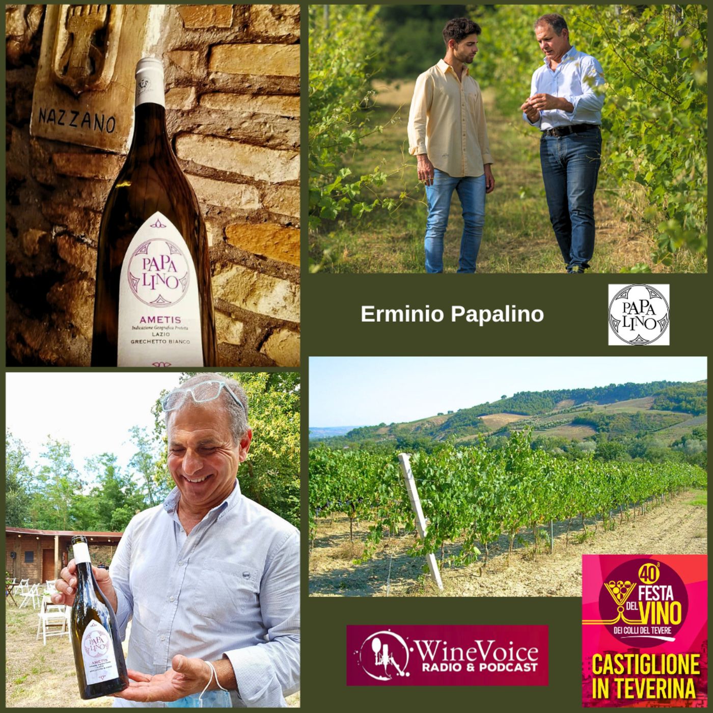 Le Terre del Vino: 40° Festa del Vino Colli del Tevere - PAPALINO (Lazio) episode artwork