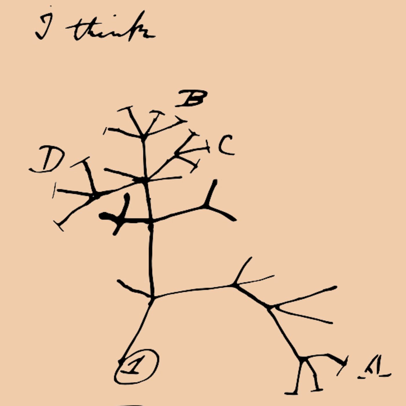 Efer 401 (11-6-17): Competencia darwininana dentro do teu corpo episode artwork