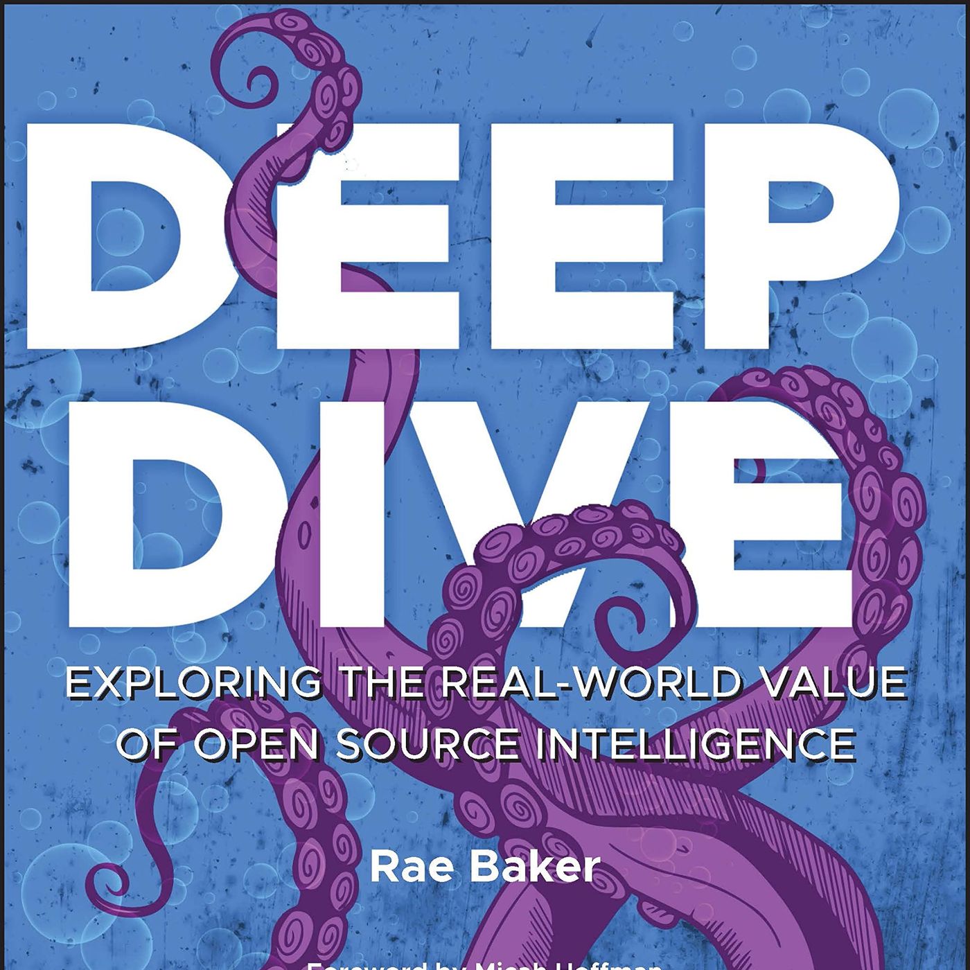 Deep Dive: Exploring the Real-world Value of Open Source Intelligence