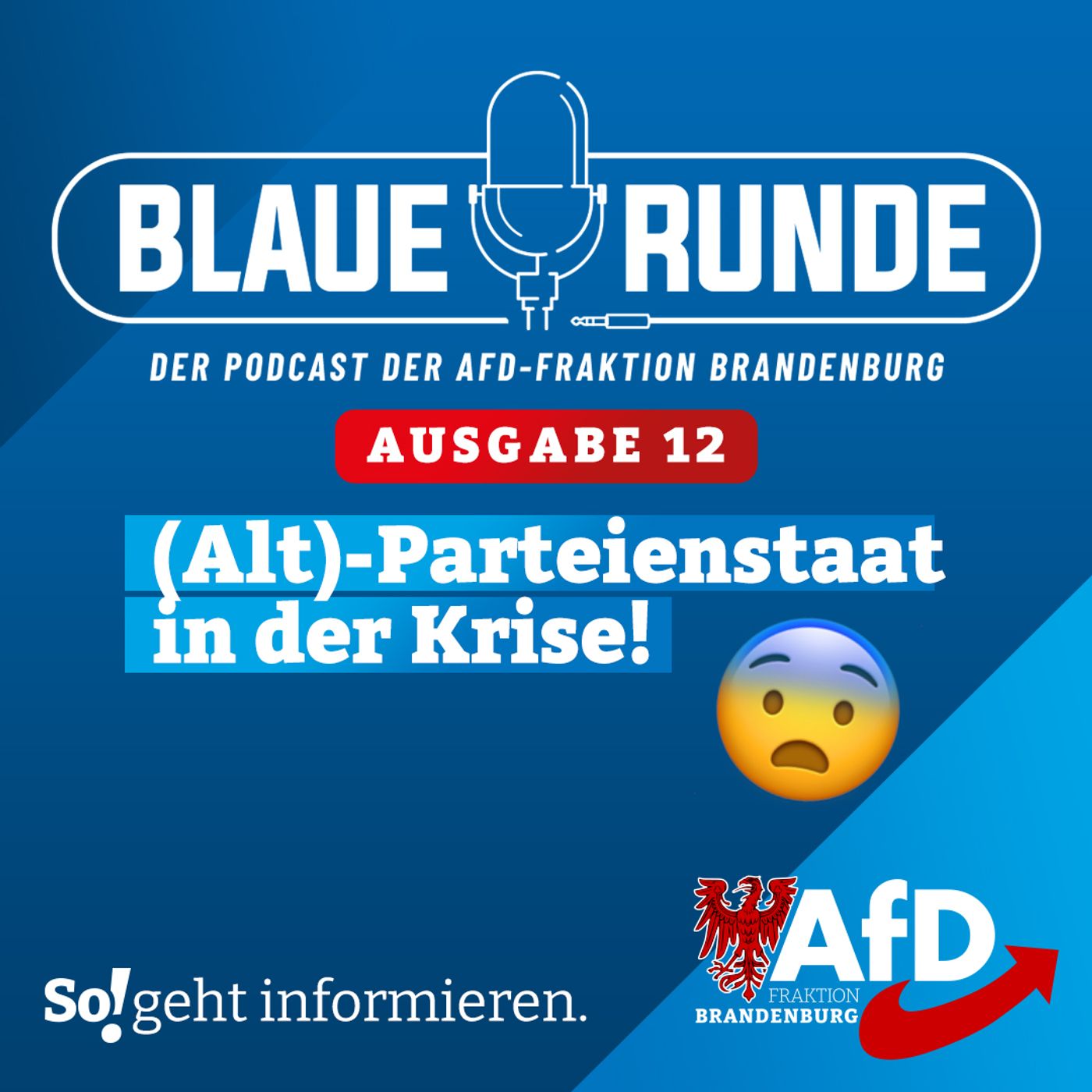 (Alt)-Parteienstaat in der Krise! | Die Blaue Runde, Ausgabe 12/24 vom 25.02.2024 episode artwork
